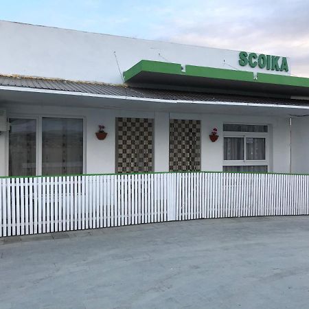 Pensiunea Scoika Steaguri Neptun Zewnętrze zdjęcie